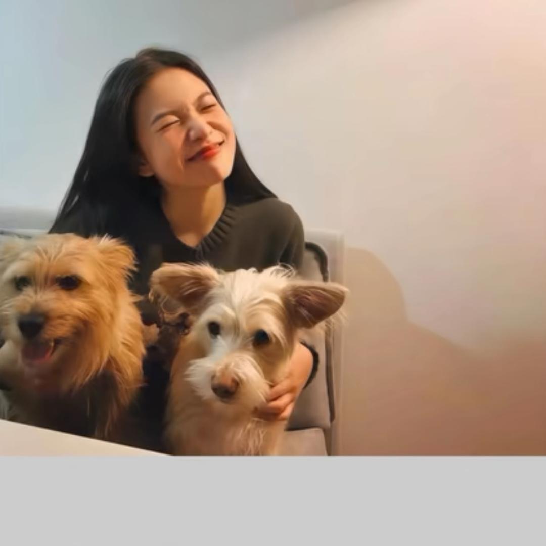 轻轻子（致鼎👀）