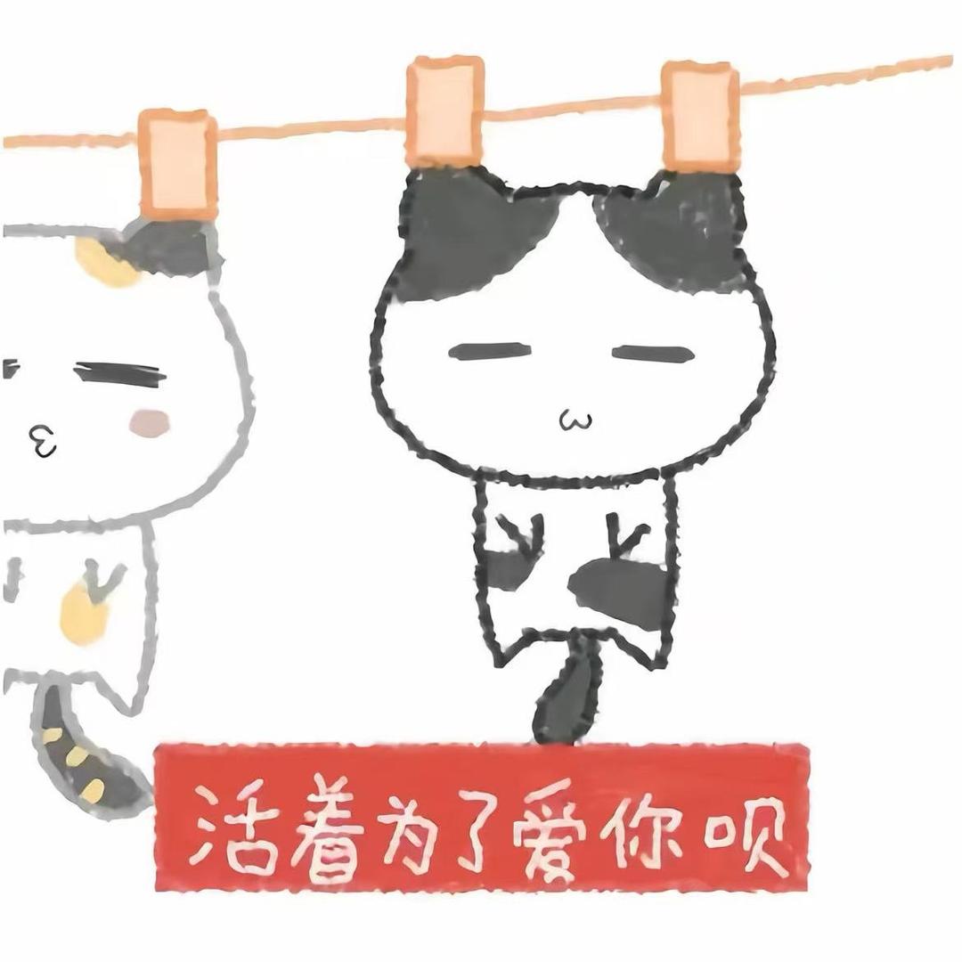 陪小琪许个愿