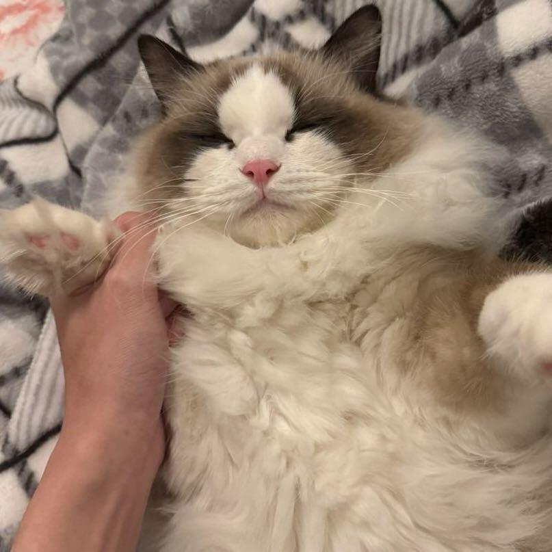 ㅤ ㅤ ㅤ ㅤ ㅤ ㅤㅤ ㅤ ㅤ