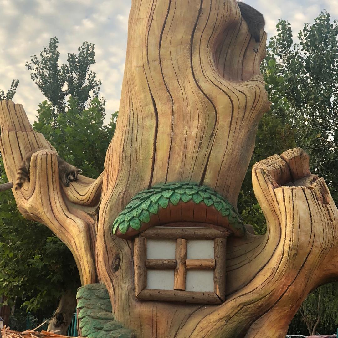 小六不听话🙉🙉