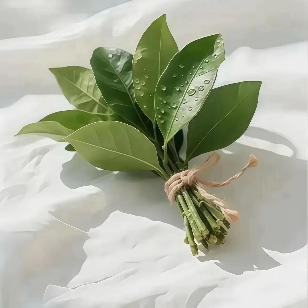 🌧️(◍•ᴗ•◍)