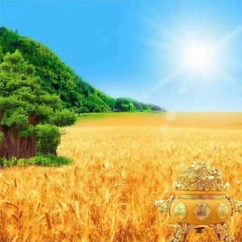 云南专业电力路桥光伏建设Epc总承包