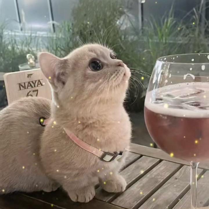菡娜家纺
