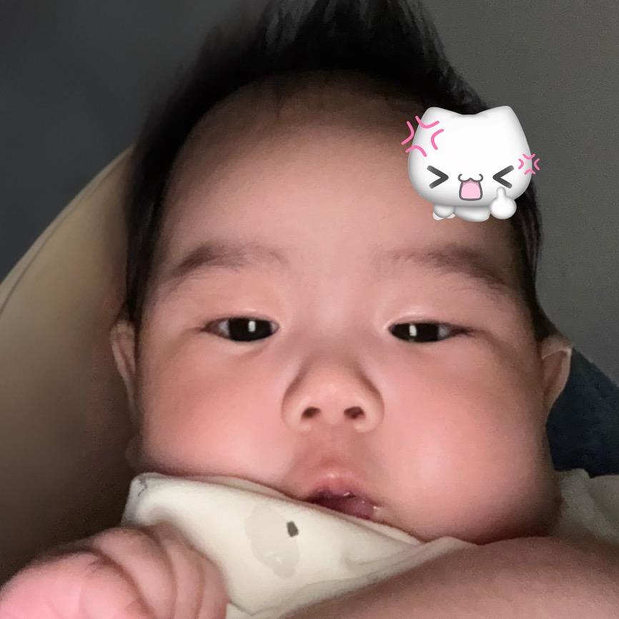 小葵日记