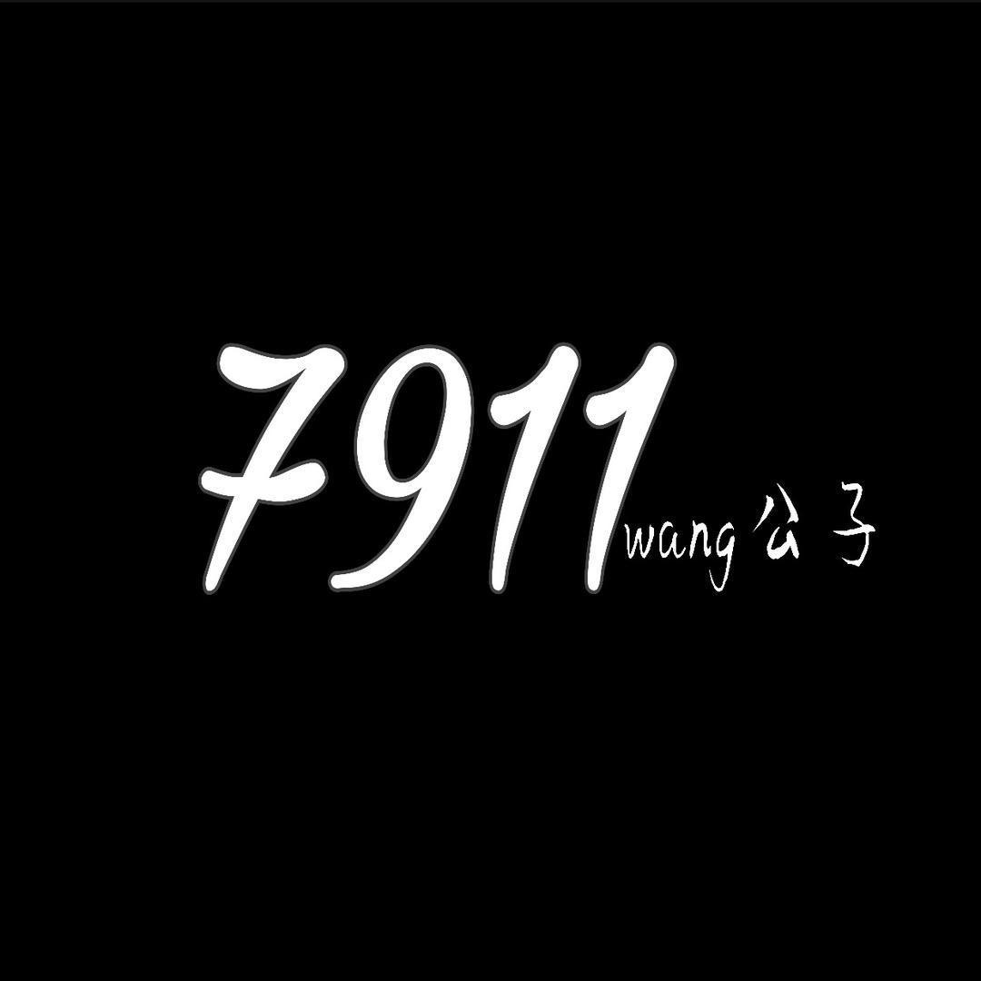 791154wang公子