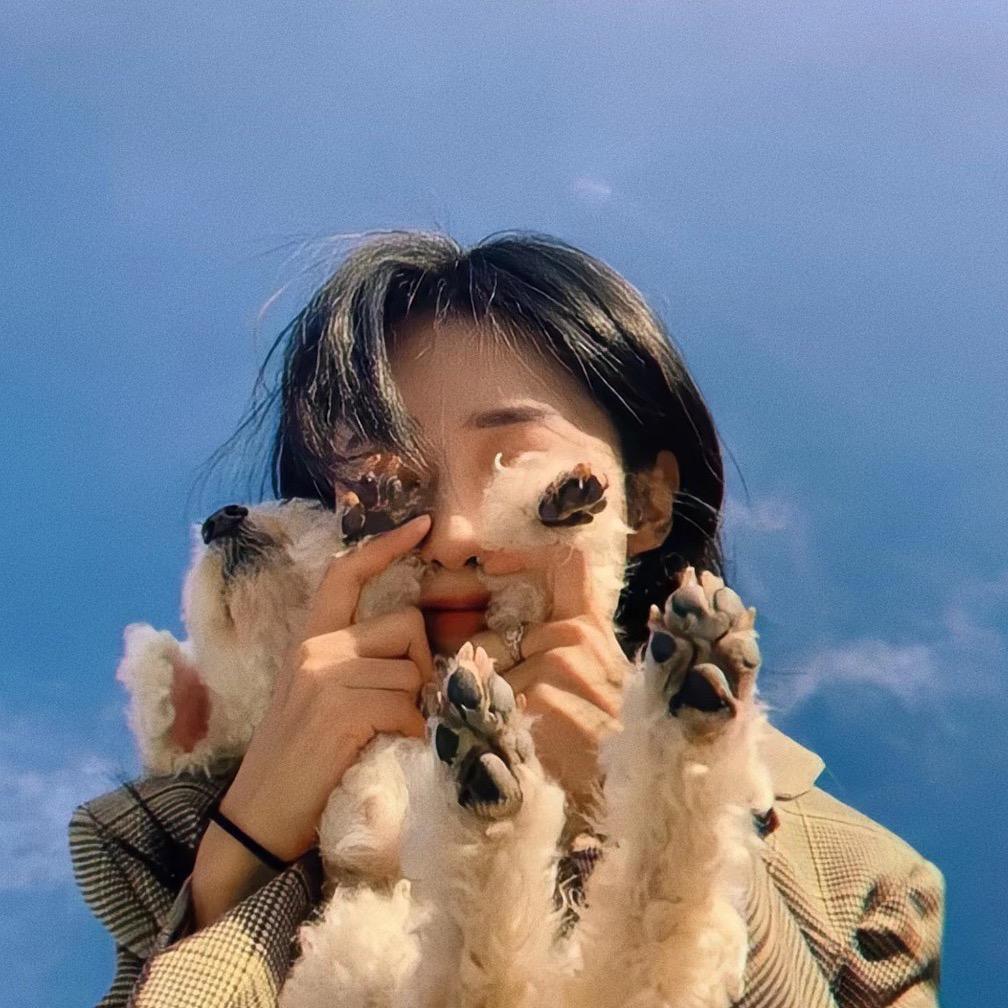 ✨凌晨一点的猫
