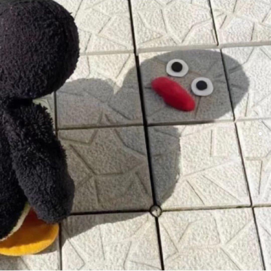 爱做饭的胡怼怼