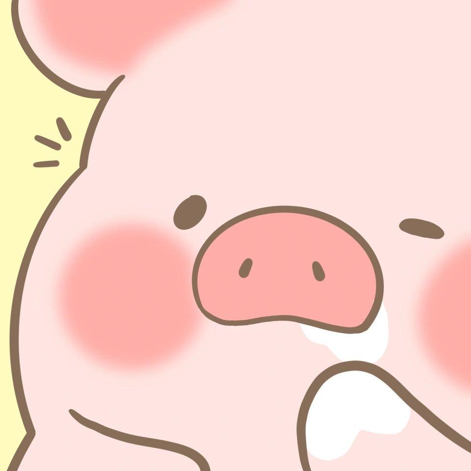 猪猪🐷🐷