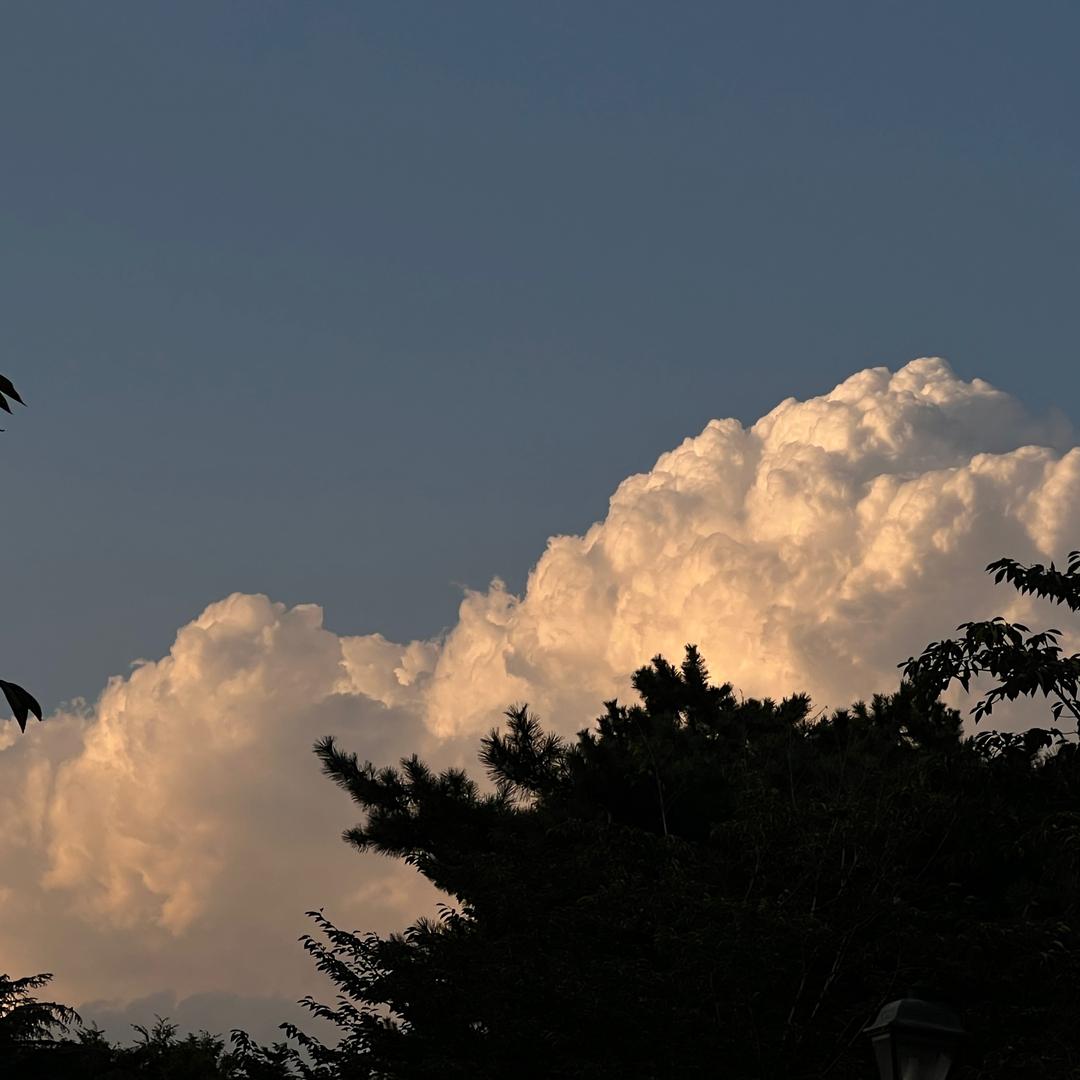 骆驼电商(𝘽𝙡𝙪e)