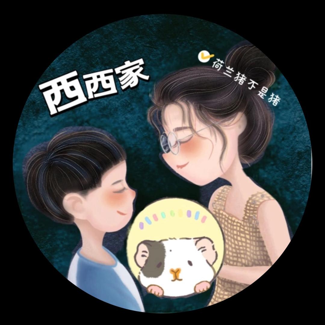 西西家 荷兰猪不是猪，西西家荷兰猪