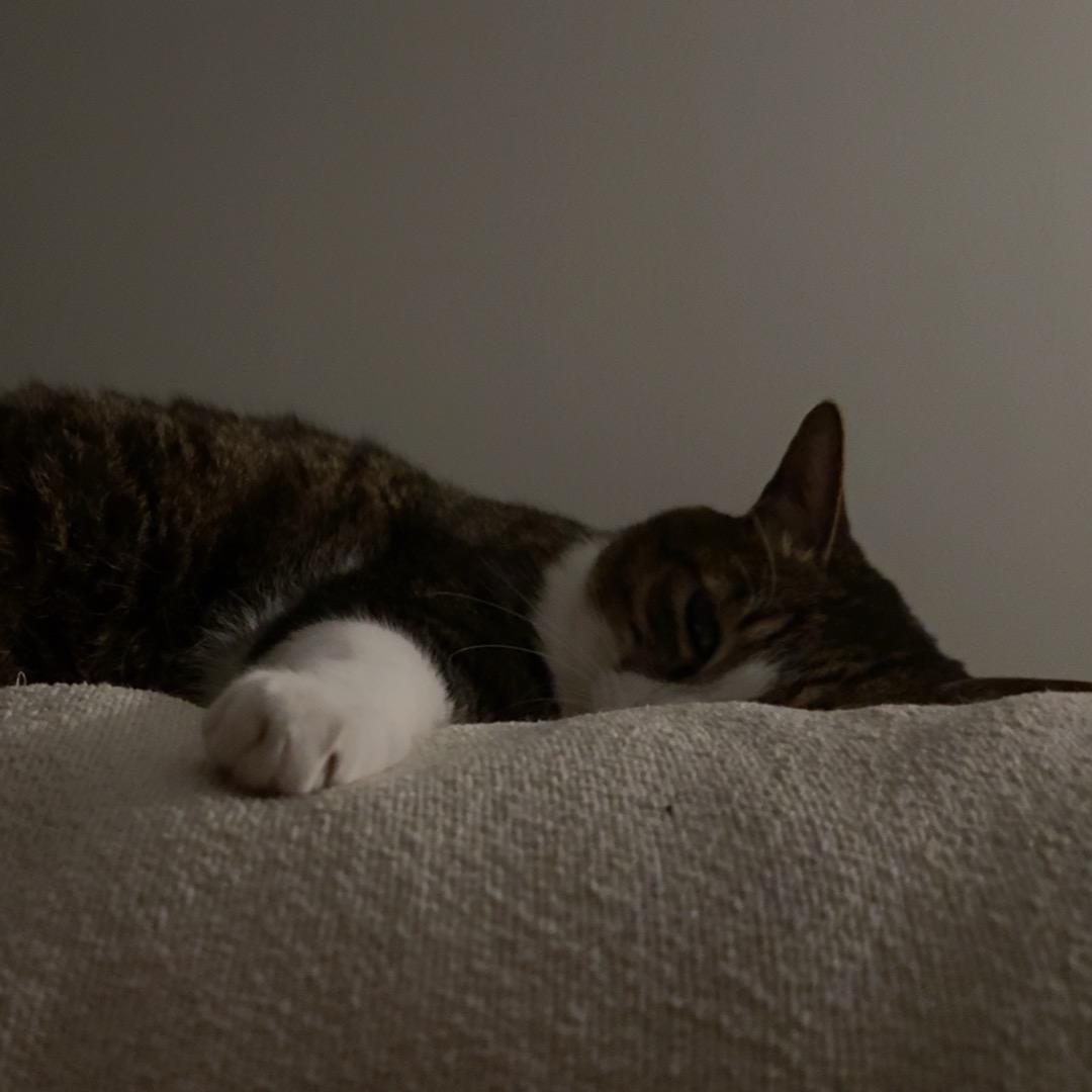 Syuu.