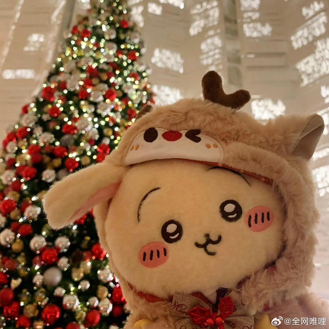 呼噜大王