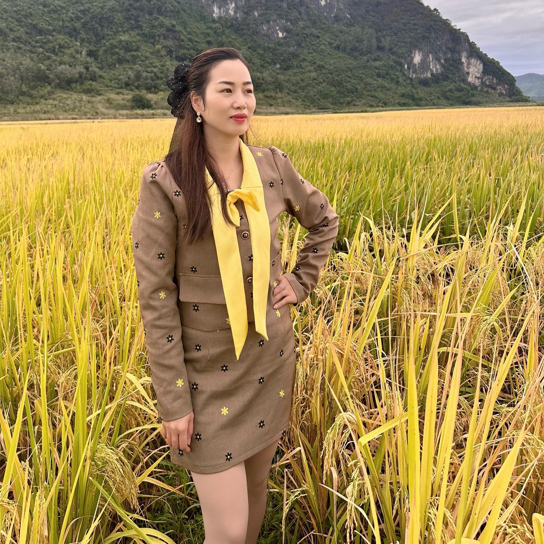 骆越稻香