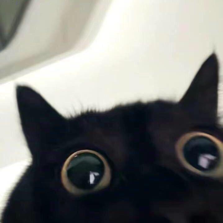 楼兰