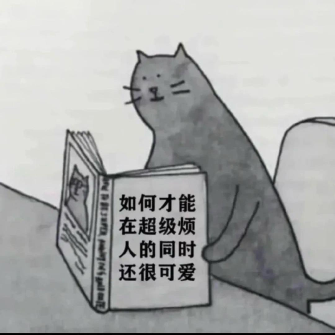 我是笨猪猪