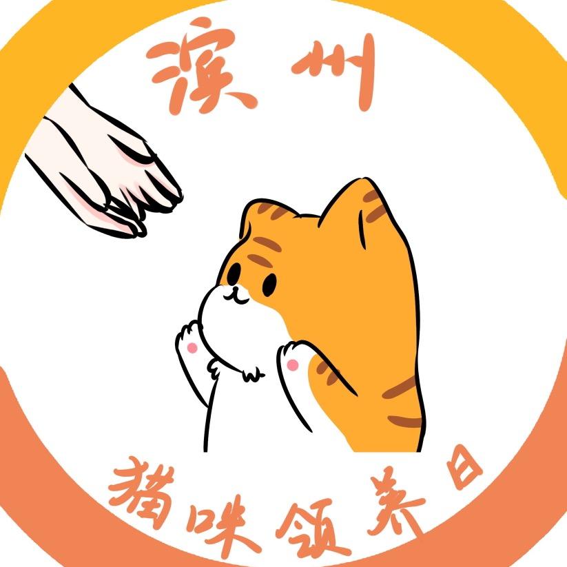 猫伴大个猫爸