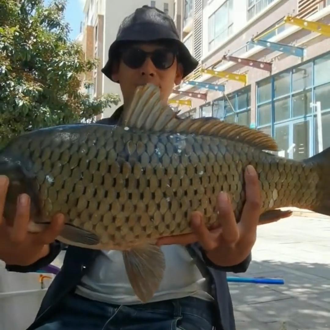 钓鱼佬刘大叔🎣