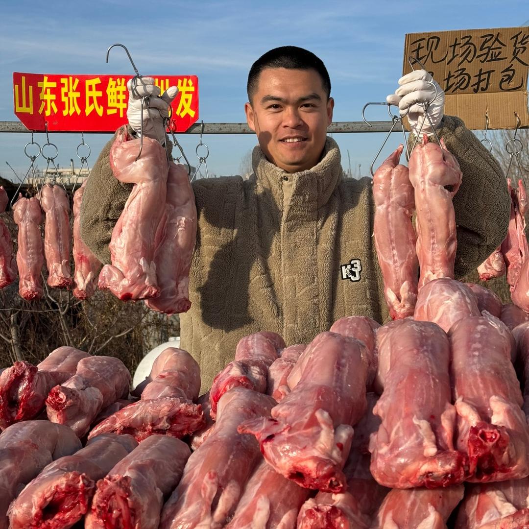 山东张氏鲜兔