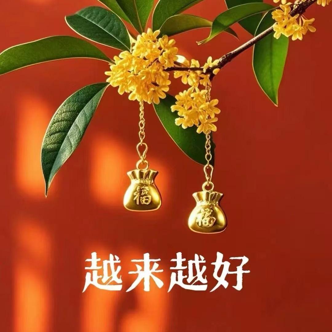 @雨后彩虹