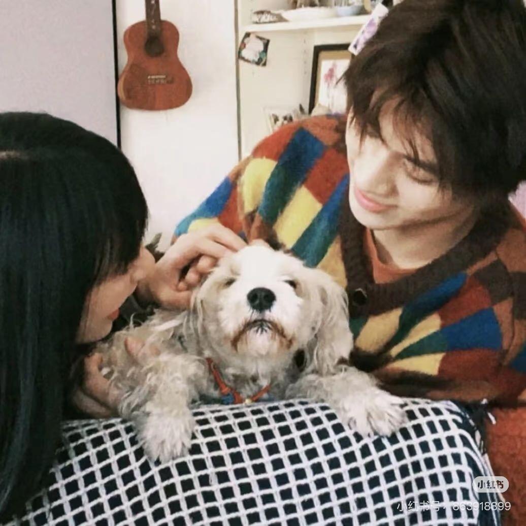 热心王友邓布利多🍹