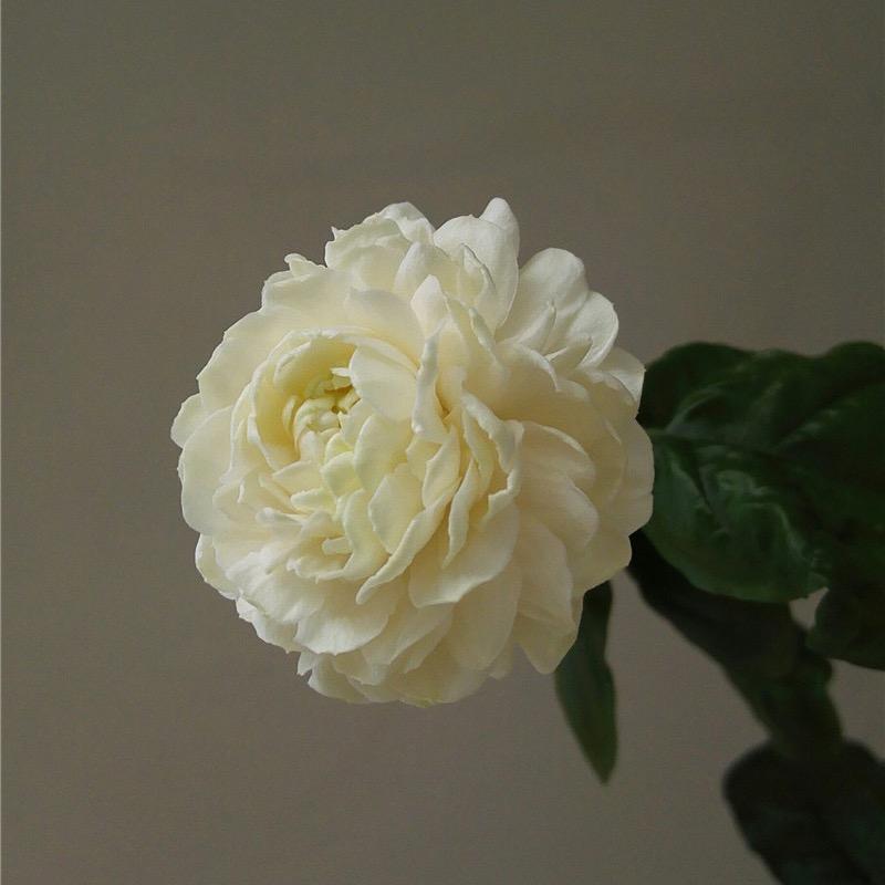 艺园茉莉盆栽农场