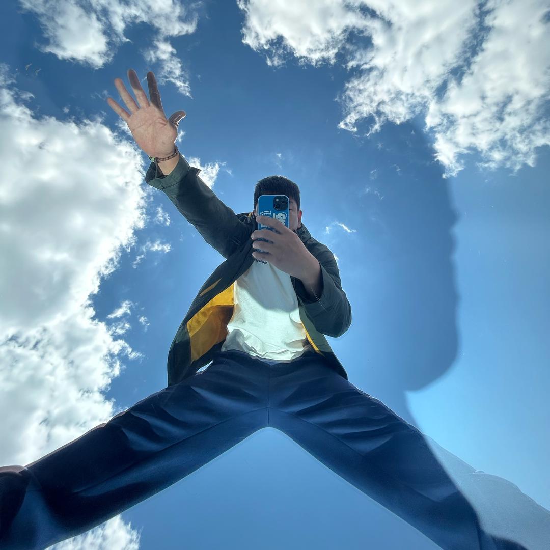 圆宝驾到
