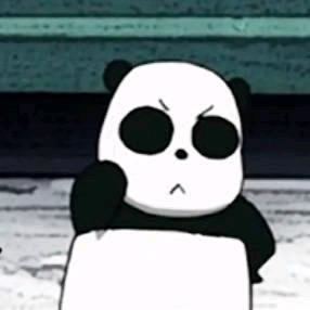 🐼