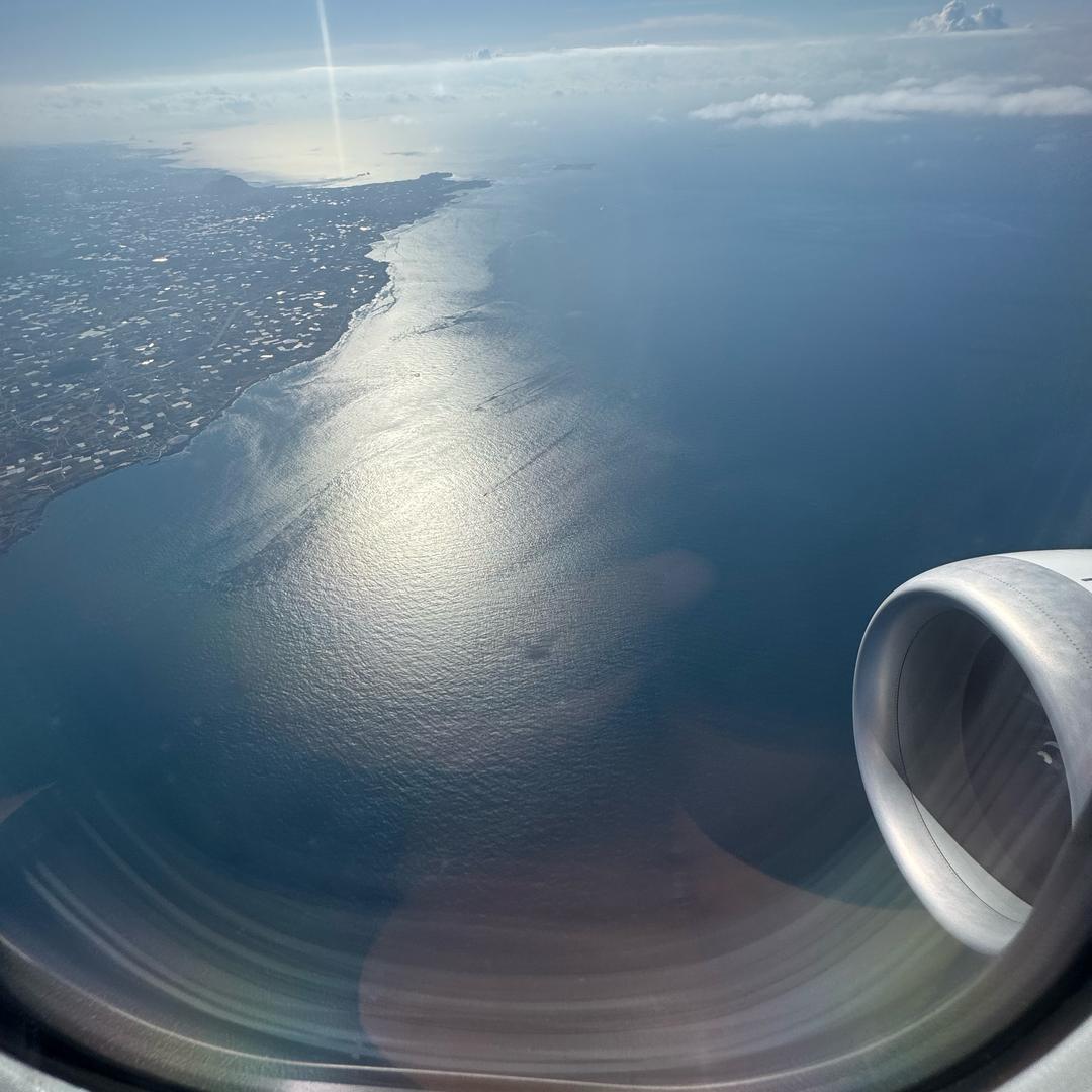 自己爱骗自己🥷