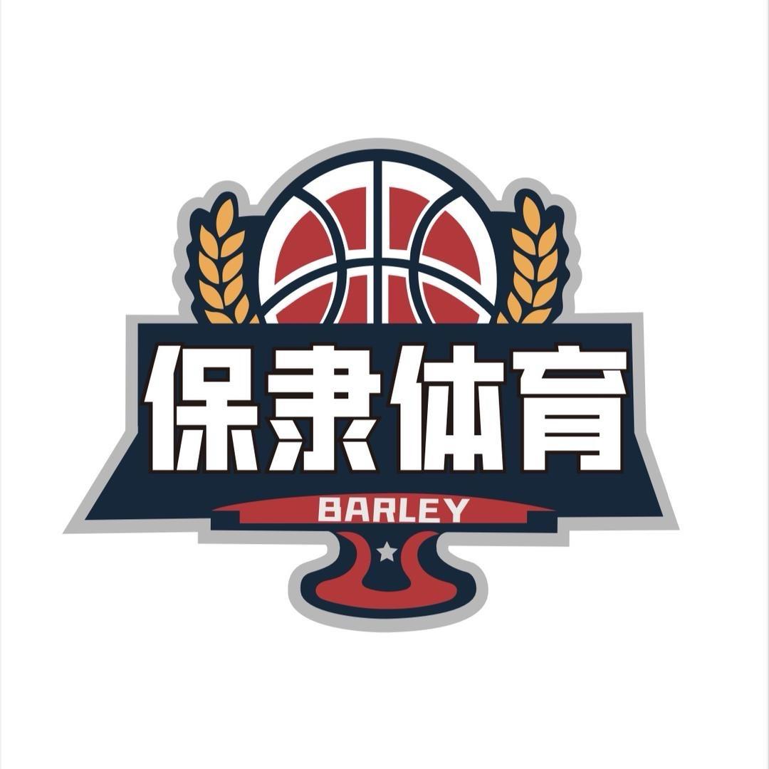 保隶篮球