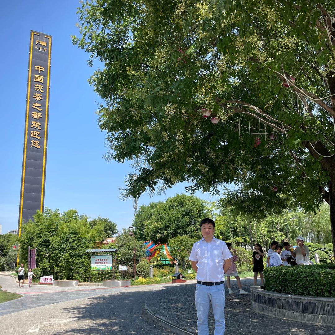迪奥哥之风云再起