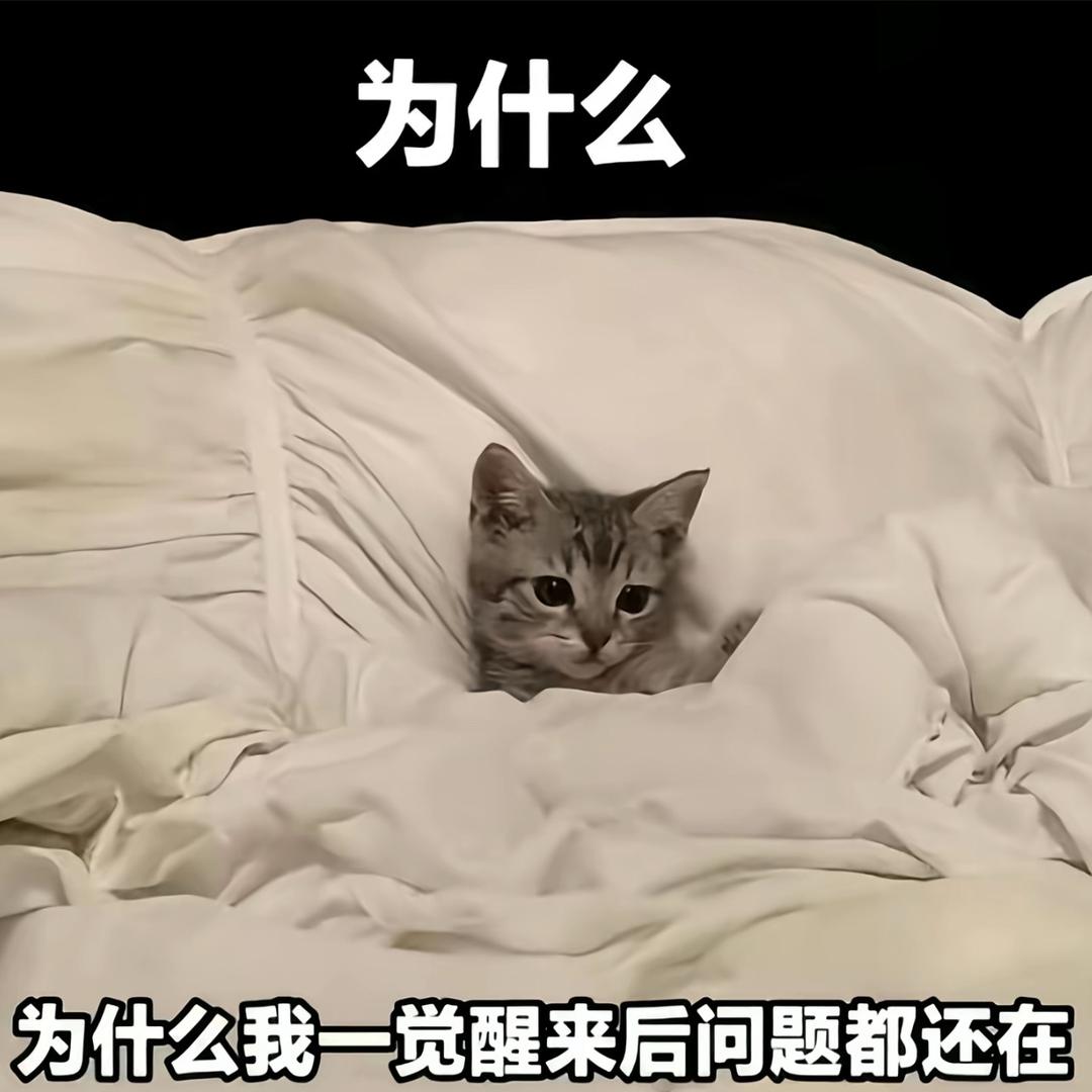 粥舟