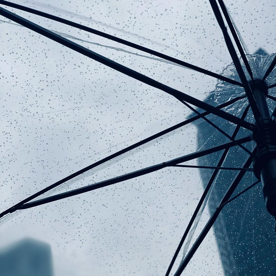 像鱼一样biubiubiu