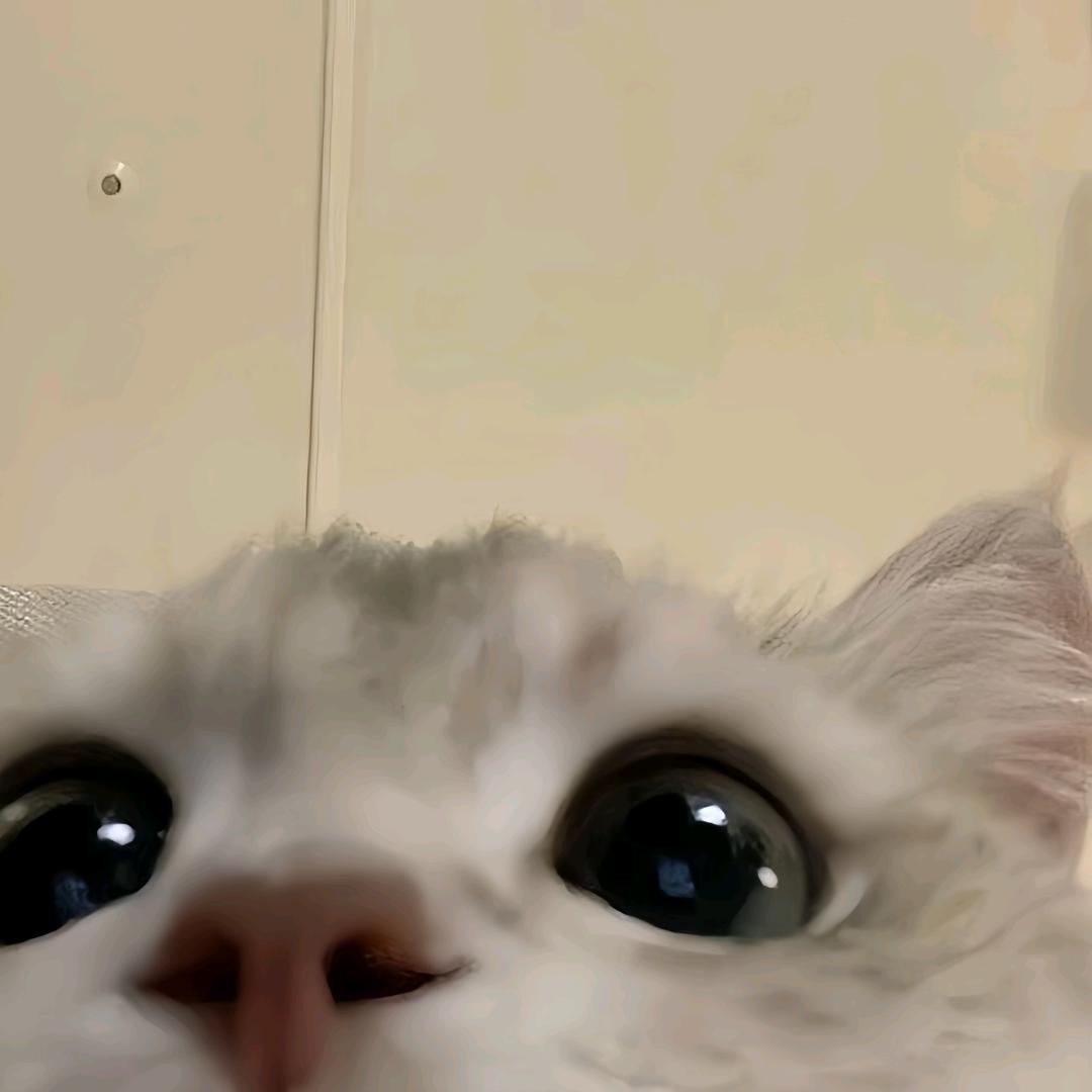 小歪日记