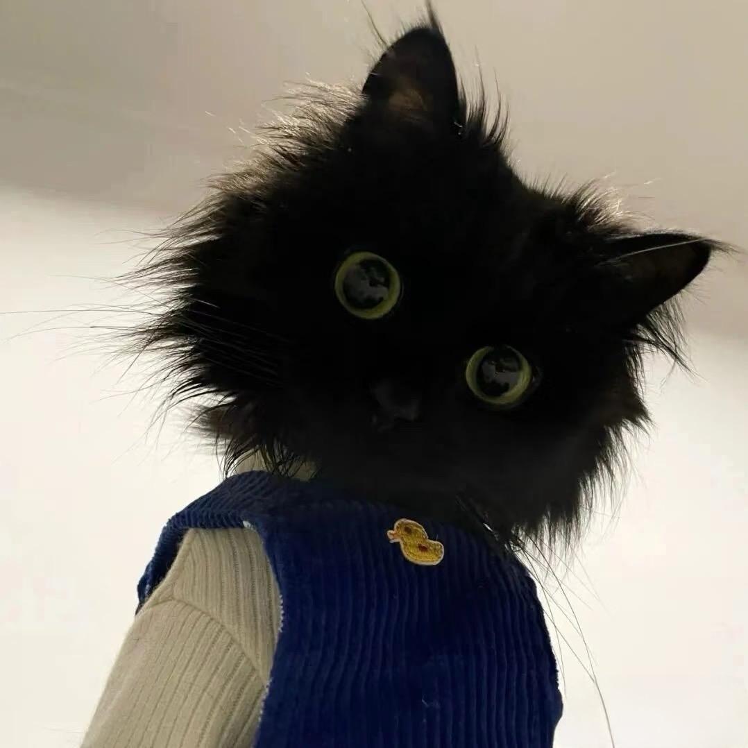 𝐀.𝐌
