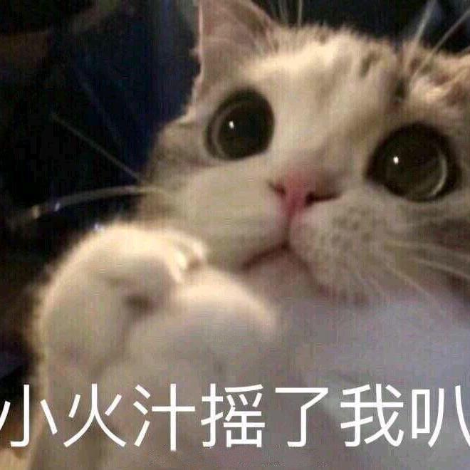 顾佳安安安安