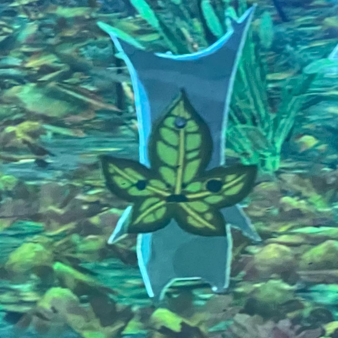 克洛格
