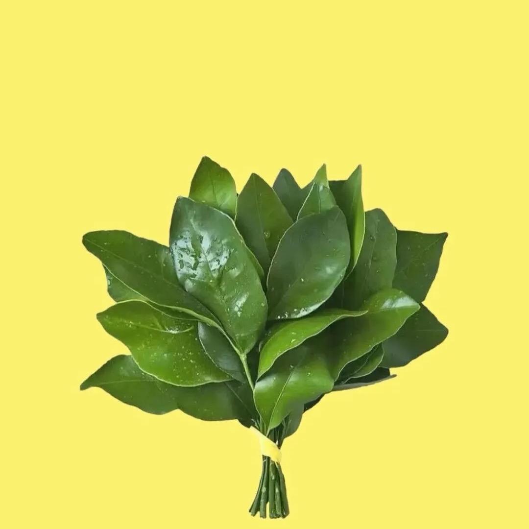 小溜溜