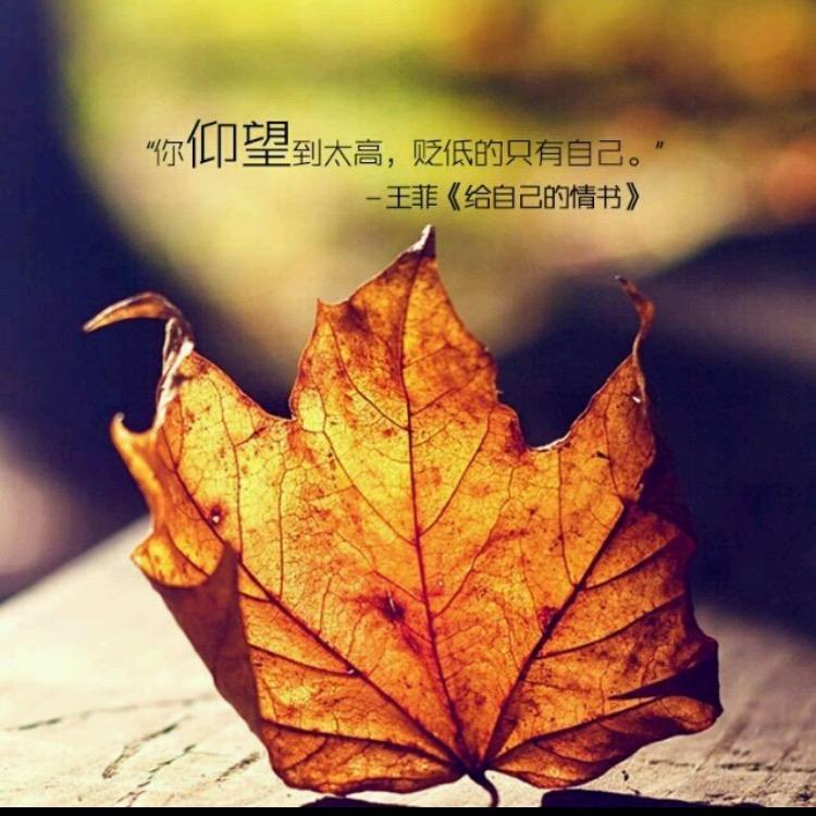 虎子哥「小老虎」