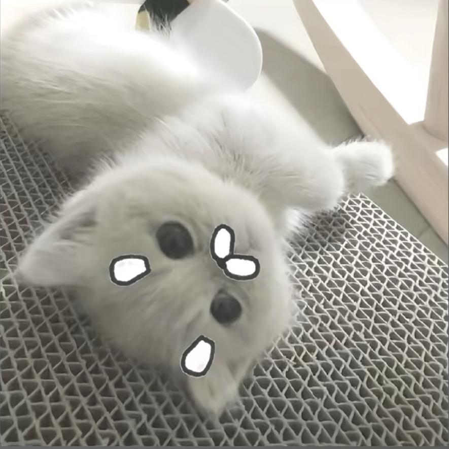 天才宅妹芝酱ovo