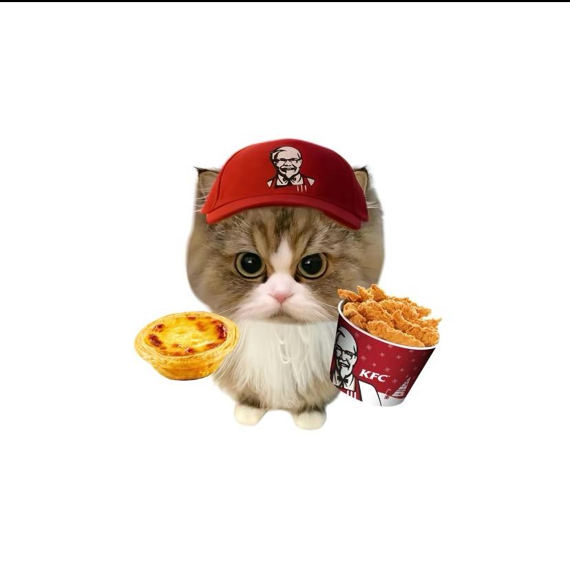 豆包今天出勤没🍟