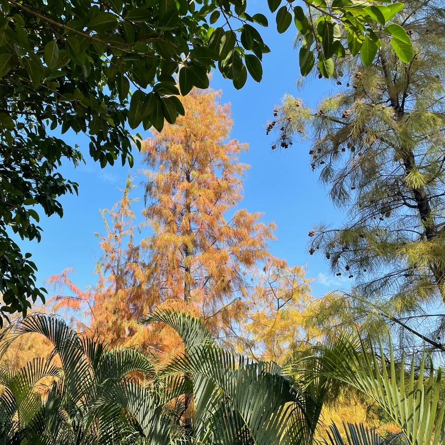 海底月是天上月