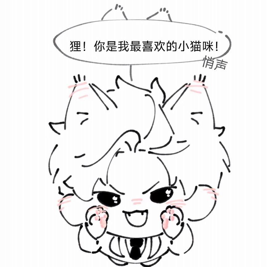狸花猫咪猫