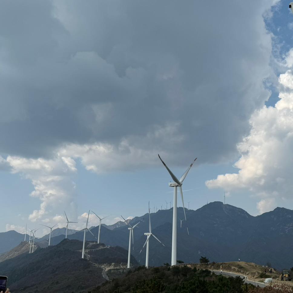 米油