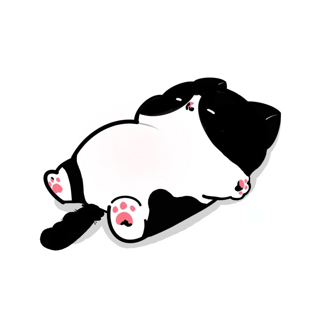 飞天性感母蟑螂Ꮤ.