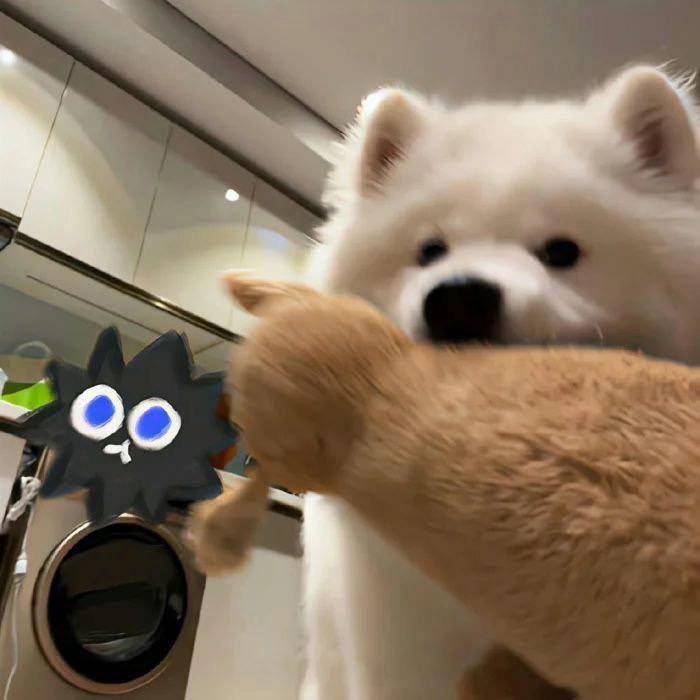 漏气苏打