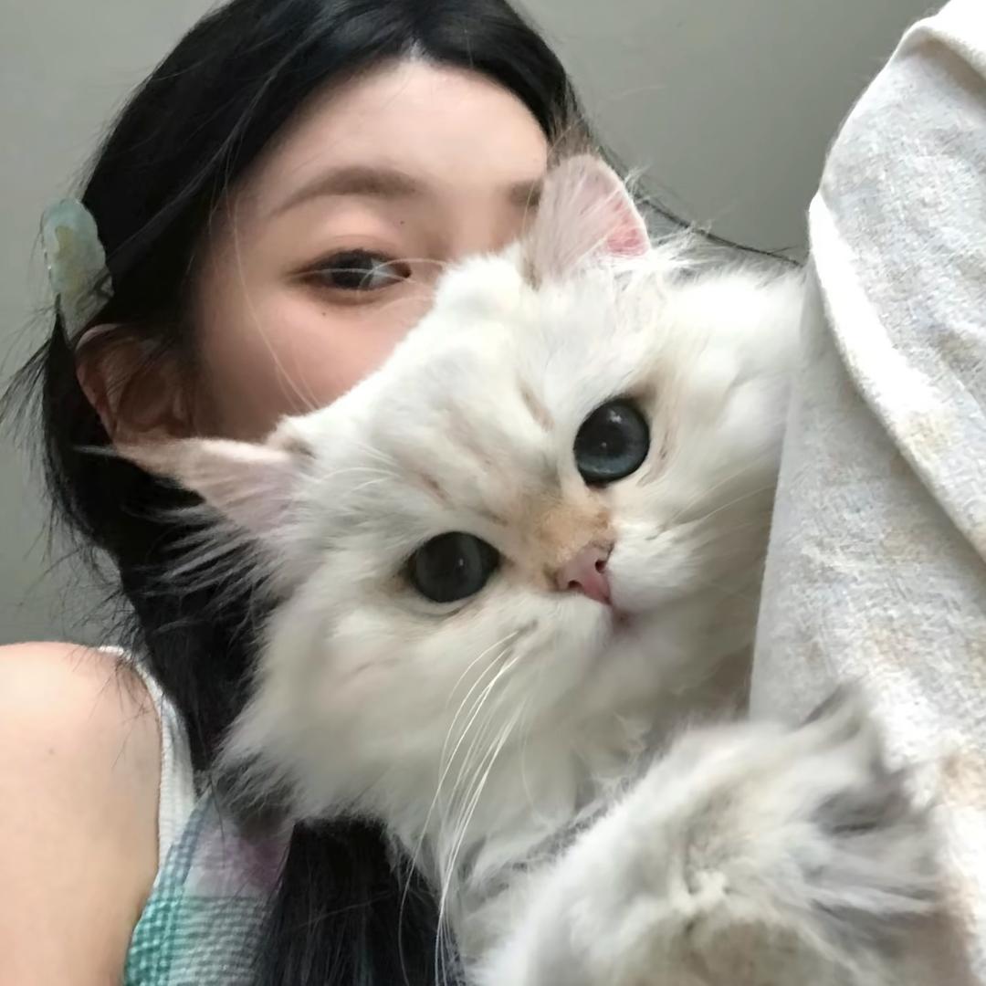 月瑶