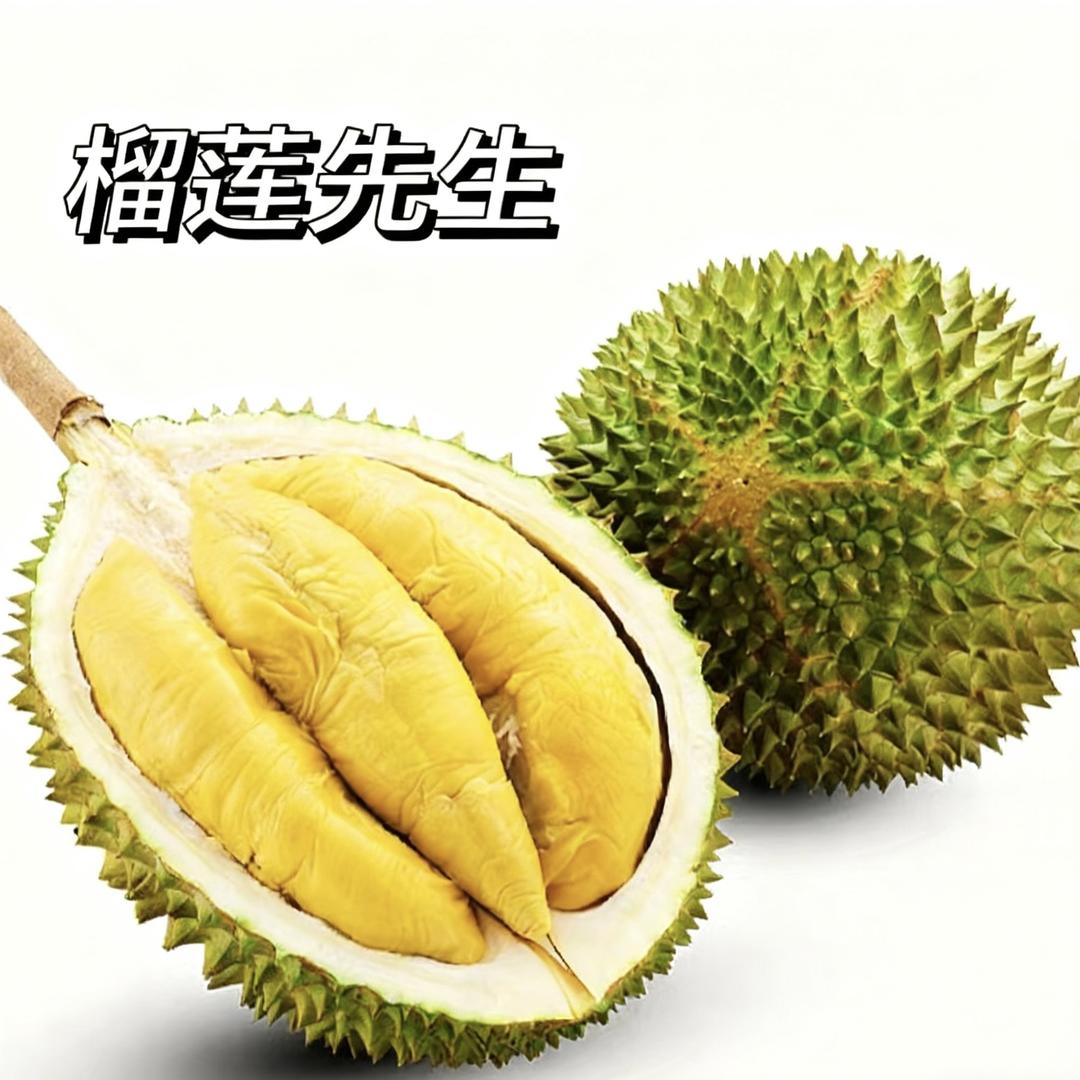 榴莲先生-六安猫山王榴莲小时达