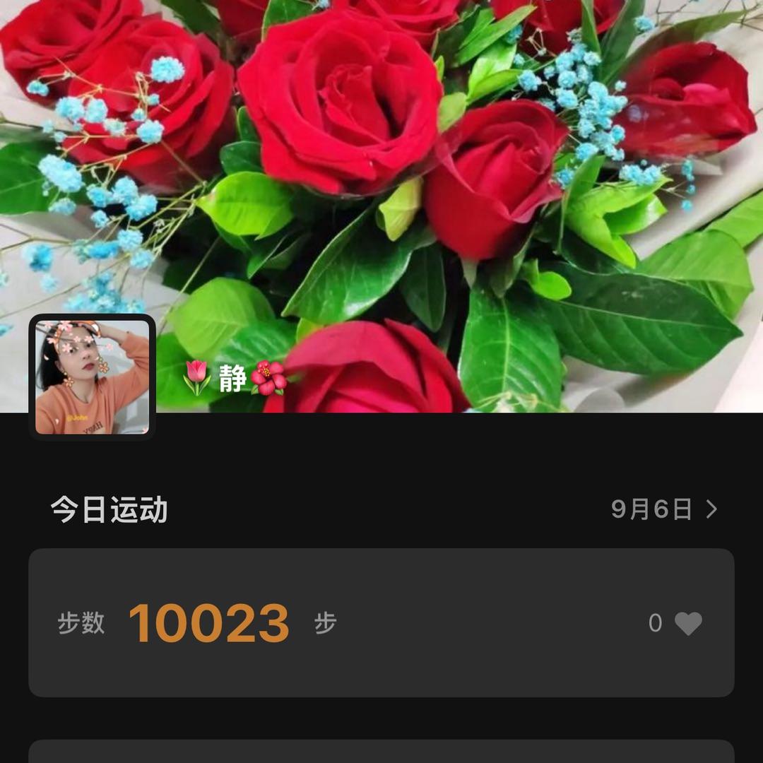🌺静
