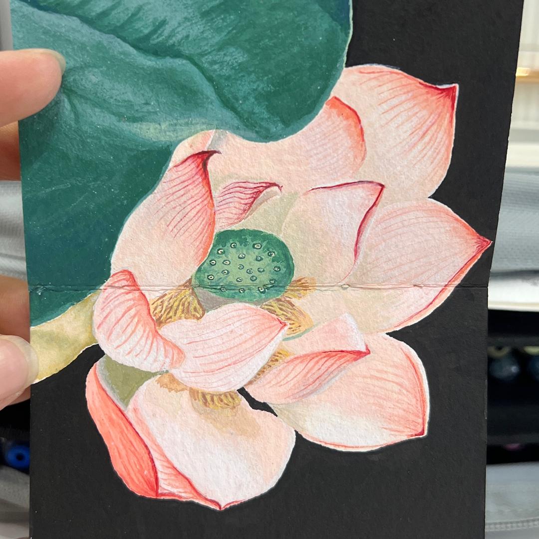 多财💸多艺幸运星⭐