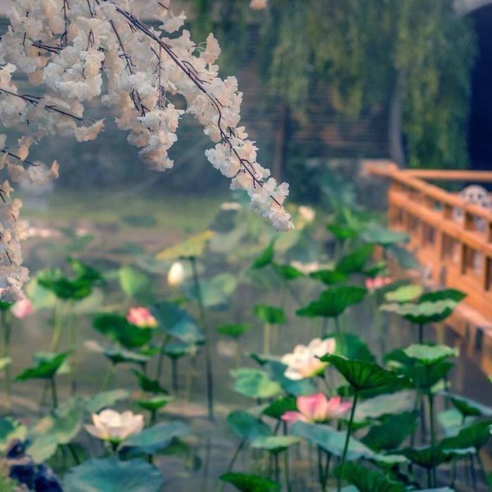 沐歌
